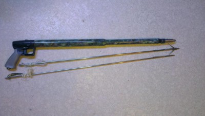 10609614.jpg