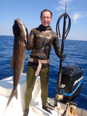 Cobia1.jpg