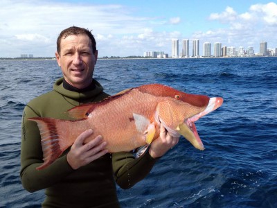 IMG_0397.jpg