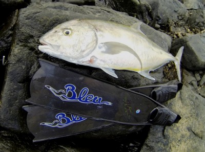 GOPR0205.JPG